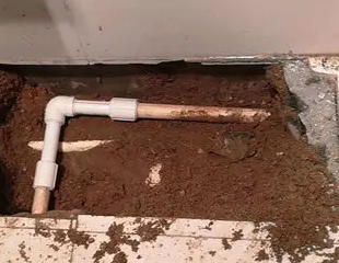 上虞测漏水哪家好