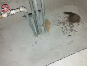 上虞卫生间测漏水价格明细