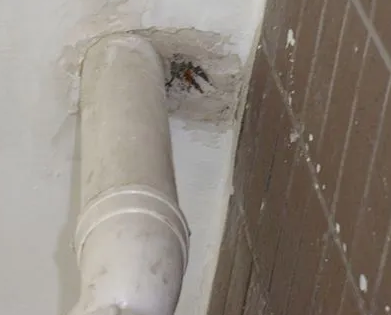 上虞漏水检测哪家好